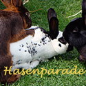 Hasenparade